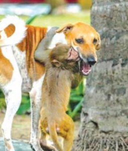 अजब ही दुनिया... अजब हे लाेक !